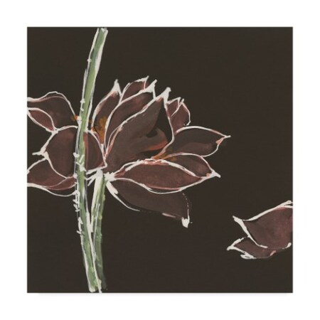 Chris Paschke 'Lotus On Black V' Canvas Art,24x24